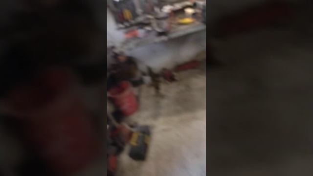 Renault logan se pone en dos cilindros ? problema solucionado смотреть онлайн