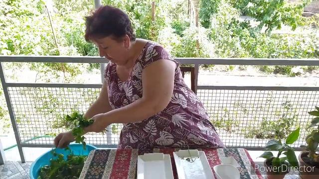 Архитектурные Размышления