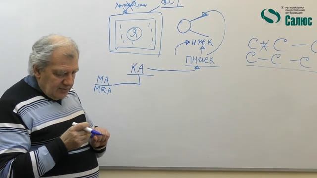 Клеточная адаптация (Алименко А.Н.) смотреть онлайн