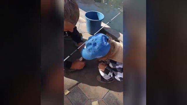 Рыбалка на форель. Талгарское ущелье, Казахстан. смотреть онлайн