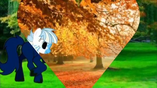 Полу анимация пони бега и ходьбы смотреть онлайн