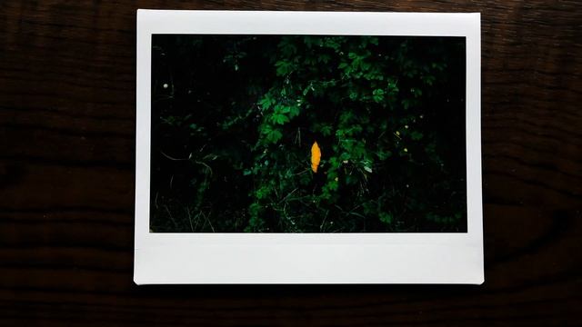 1 roll 1 camera: Instax 210 смотреть онлайн