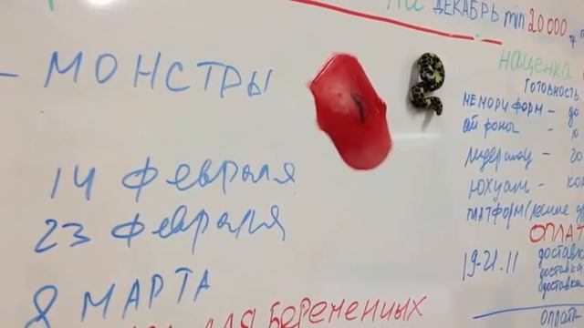 лизун Angry Birds смотреть онлайн