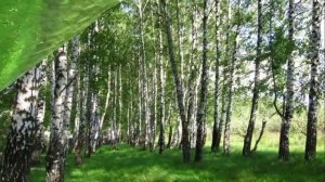 А. Жигулин "О, Родина!"