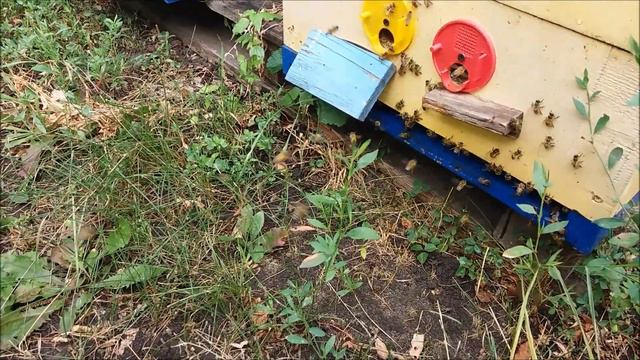 После дождя смотреть онлайн