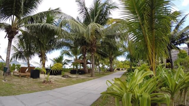 The Amazing SEYCHELLES Islands ♥