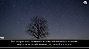 Красивое чтение Корана

 (Аль-Бакара, аят 152-157)