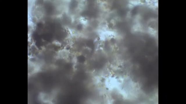 #3 Lofi hip hop radio - beats to relax/study with microbiology смотреть онлайн