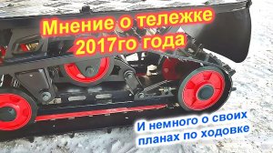 Мнение о тележке Динго 2017 года. И немного о моих планах по ходовке.