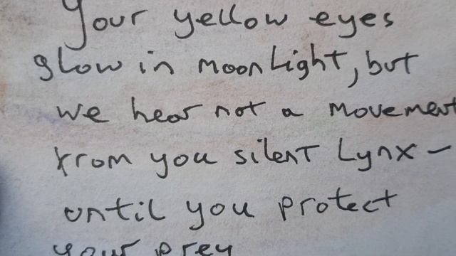 Creature cards corrected смотреть онлайн