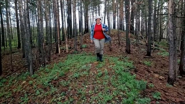 По Каменным островам Ангары смотреть онлайн