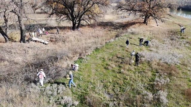 Для чего нужен лес? Акция Посади лес 26 октября 2019 смотреть онлайн