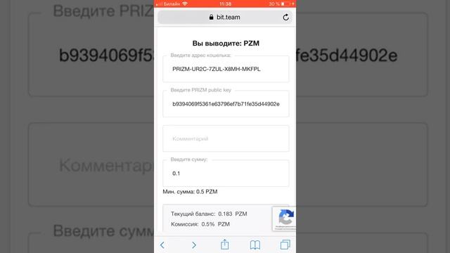 Биржа bit team, обменник криптовалюты Бит Тим. Как купить и продать криптовалюту Prizm (призм) смотреть онлайн