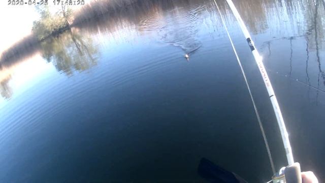 Наконец-то проснулся!Ловля весеннего окуня на озере с лодки на микроджиг.(1 часть!) смотреть онлайн