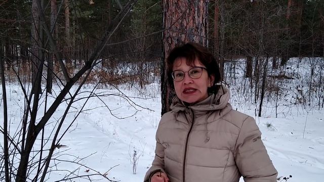 Зимний лес. Черёмуха. Лечебные и энергетические свойства. 1 часть смотреть онлайн
