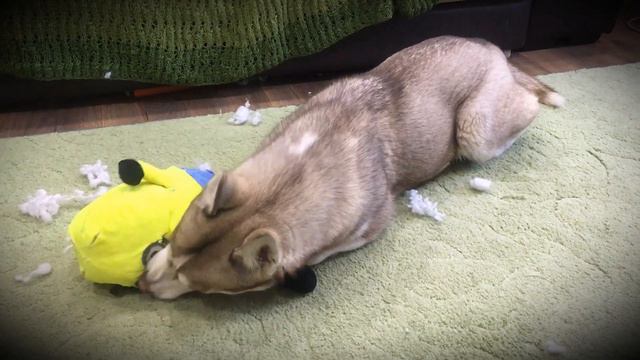 MINION BANANA FRANKENSTEIN