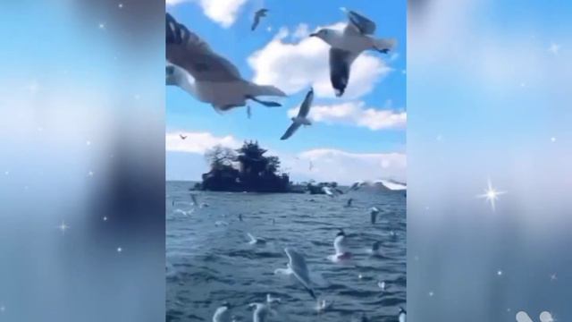 Песня про отдых в теплых краях " У синего моря..." в исполнении Натальи Алексюк смотреть онлайн