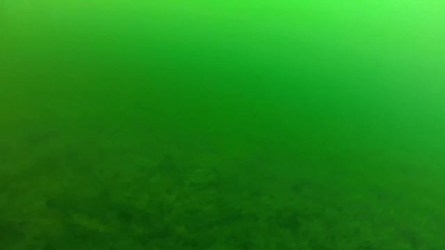 глубокий нырок в Голубом озере (Новгородская область) смотреть онлайн