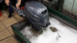 Тест мотора Yamaha f20 лс цена 115тр