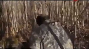 Якутия. Охота на лося.