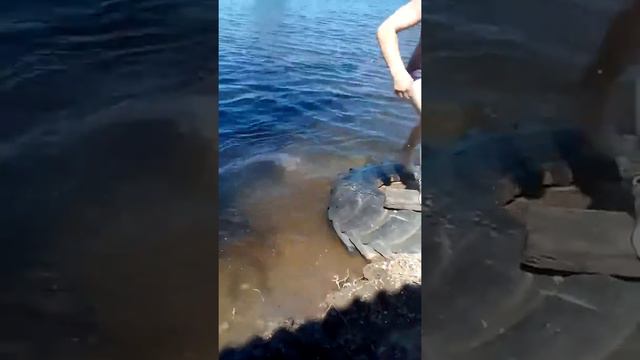 Половодие в Астраханской области смотреть онлайн