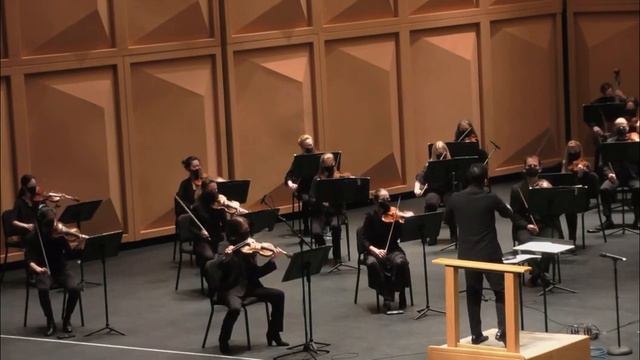 Tchaikovsky's Serenade for Strings Excerpt смотреть онлайн