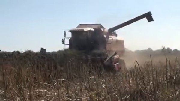 Приспособление для уборки подсолнечника Лифтер для жаток зерноуборочных комбайнов