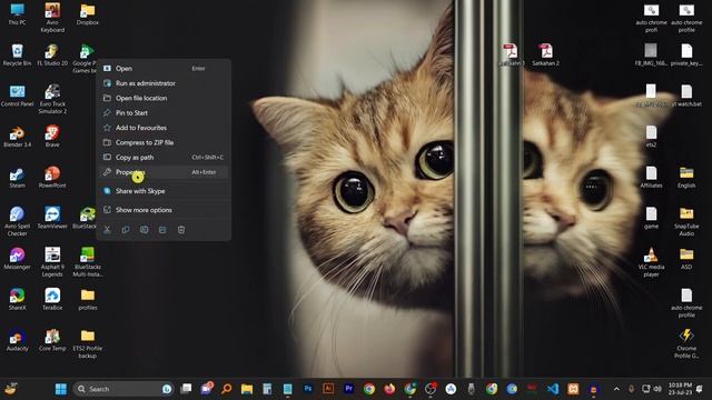 How to fix Incompatible Windows Settings Error in BlueStacks 5 смотреть онлайн