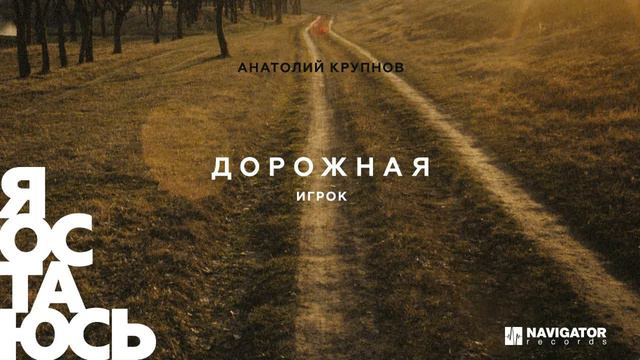 Анатолий Крупнов - Игрок (Аудио) смотреть онлайн