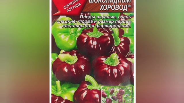 Новинка!Перец шоколадного цвета!#огород#перец#новинка смотреть онлайн