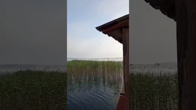 На улице зима, в доме рождественские каникулы, в памяти приятные моменты тишины... смотреть онлайн