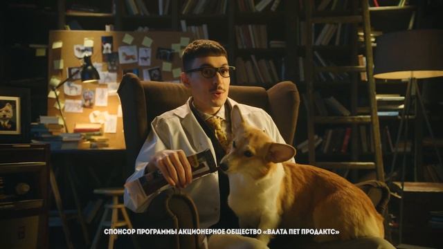Жан-Поль Мнямс про любовь собамчек к Мнямс. Лакомства для собак смотреть онлайн