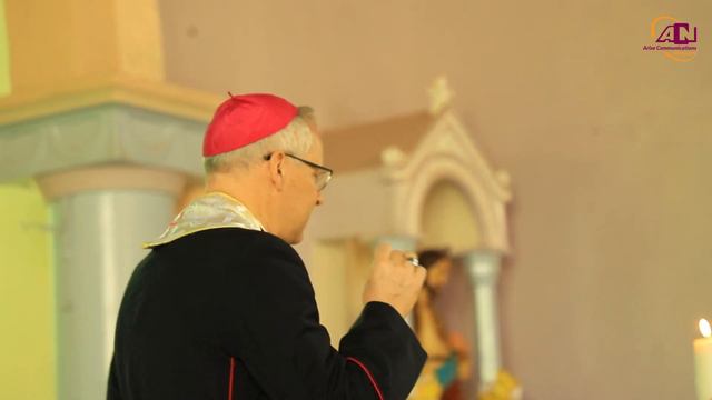 "Rejoice in the faith of the Universal Church" - H.E. Hubertus Matheus Maria van Megen смотреть онлайн