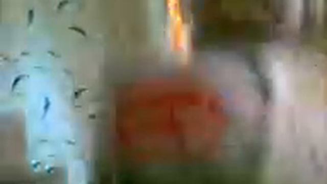 прикол с тархуном) смотреть онлайн