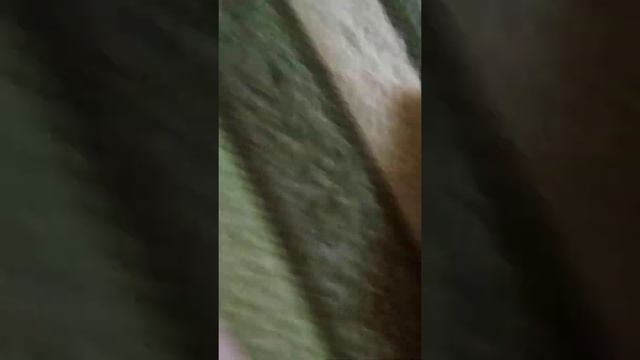 Первый взгляд на внешний вид телефона Nokia X3. смотреть онлайн