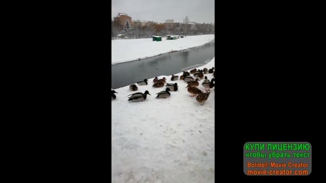 новый год,город орел смотреть онлайн