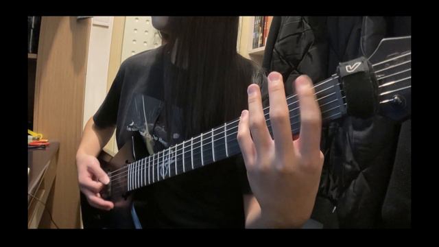 Inveracity - Blood Of Impurity Guitar Cover (Solar E1.6FBB) смотреть онлайн