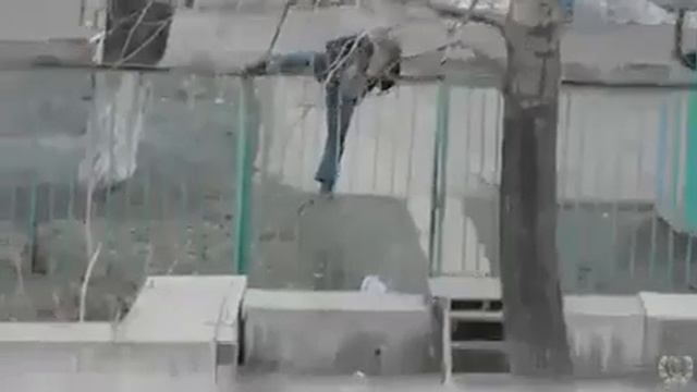 Забор смотреть онлайн