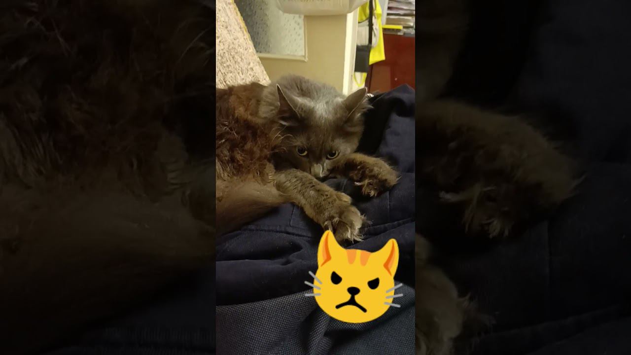 22 сентября 2023 г. смотреть онлайн