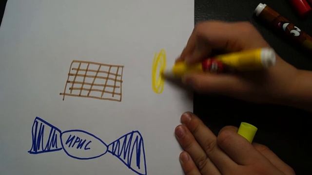 Ароматные фломастеры смотреть онлайн