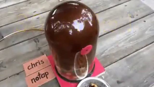 Что делает сигарет с нашим организмом смотреть онлайн