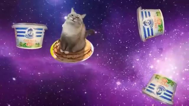 Blini Kot (cat Jazz) - PonPonPon (Russian Cover)