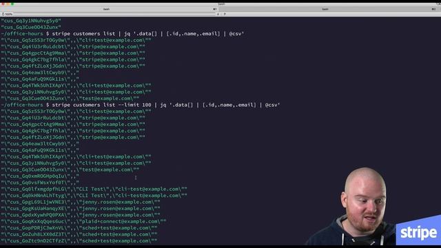 Introduction to the Stripe CLI смотреть онлайн