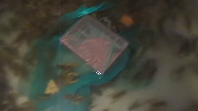 Мои бассейны с речными РАКАМИ!!! смотреть онлайн