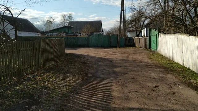 VL#20 Закладка яиц в инкубатор.Вывоз навоза на огород.