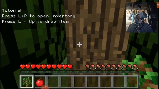 Wow!!!!! hOW DID THIS EVEN HAPPEN | MINECRAFT 4/69 (PSP) смотреть онлайн