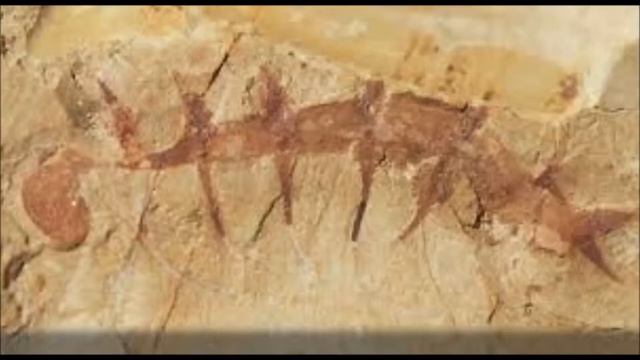 Hallucigenia смотреть онлайн