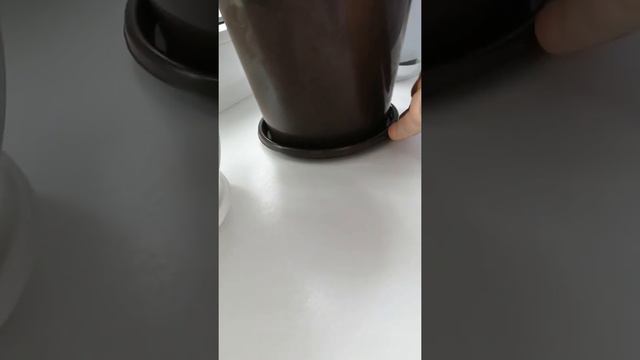 Герань посадила 11.06.2021 смотреть онлайн