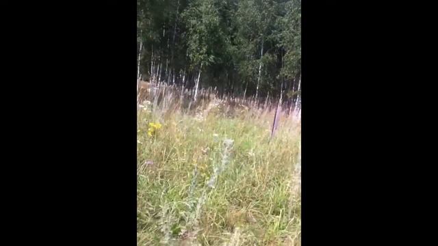 Поздравление С ДР группу "Ска-n-Ворд" смотреть онлайн