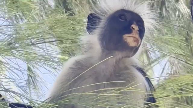 Zanzibar, Tanzania, 2023